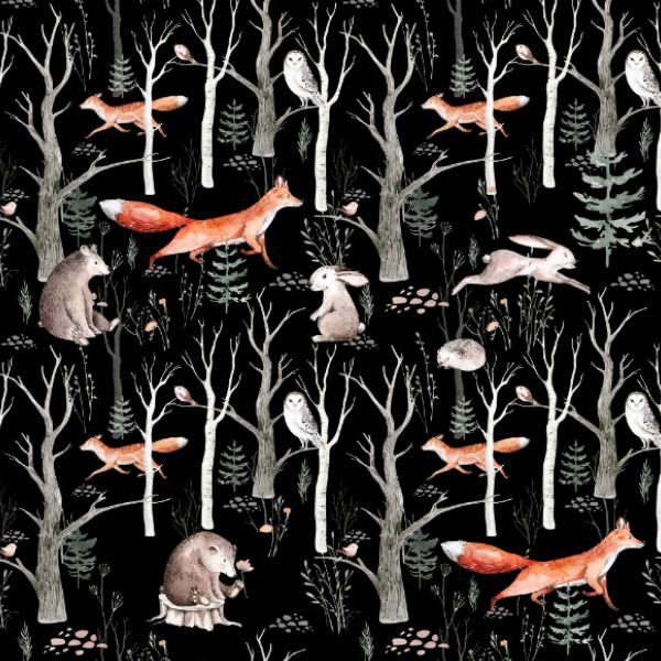 Softshell invernale - pulcini nella foresta nera