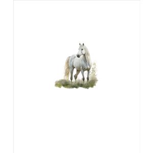 Pannello in jersey Takoy 50x60 - Cavalli dipinti di  bianco