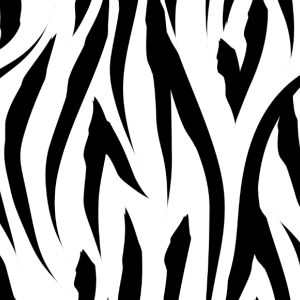 Jersey funzionale per t-shirt - Zebra