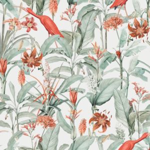 Softshell primaverile - Ibis bianco