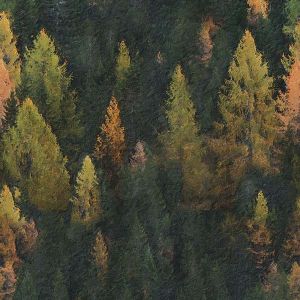 Jersey pettinato termofunzionale - pittura della foresta