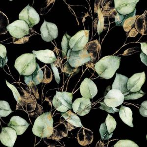 Softshell primavera - Eucalipto nero